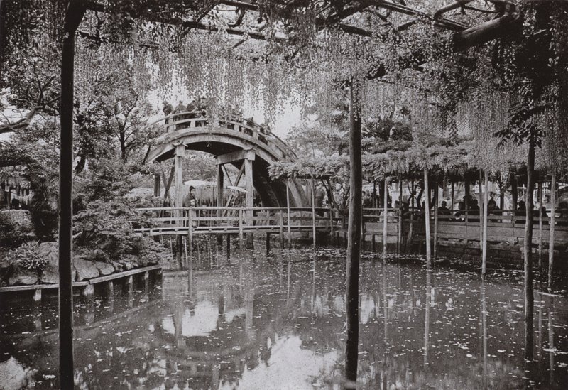 Kameido (s/h-bilde) av Herbert Ponting