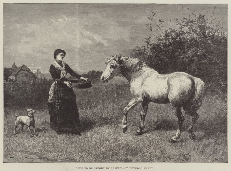 For ikke å bli fanget av agner av Heywood Hardy