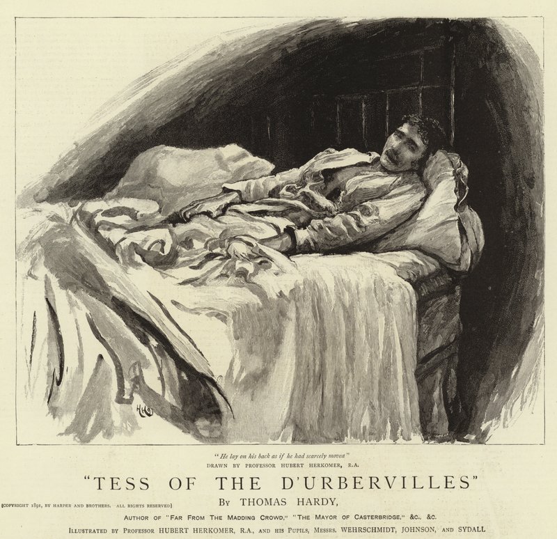 Tess fra D