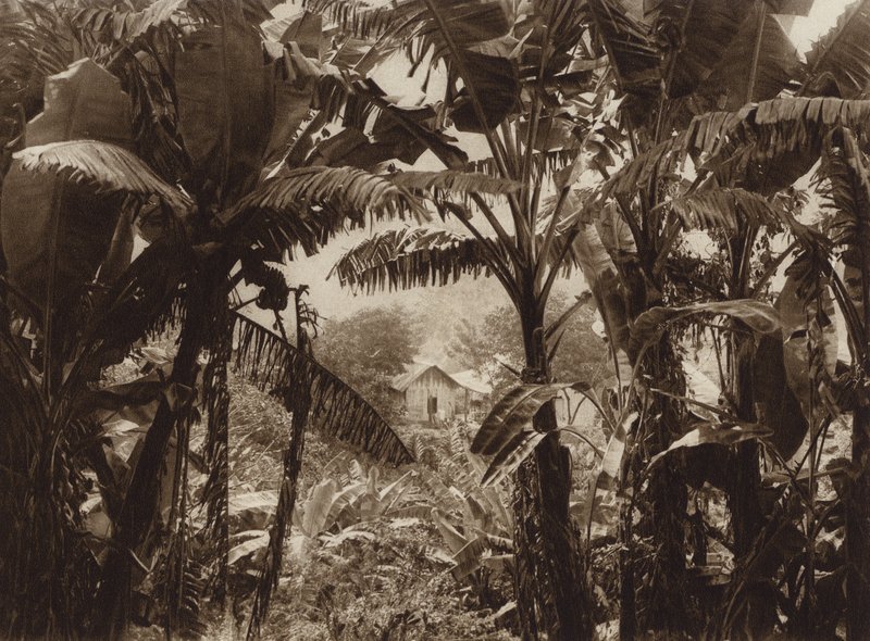  av Hugo Brehme