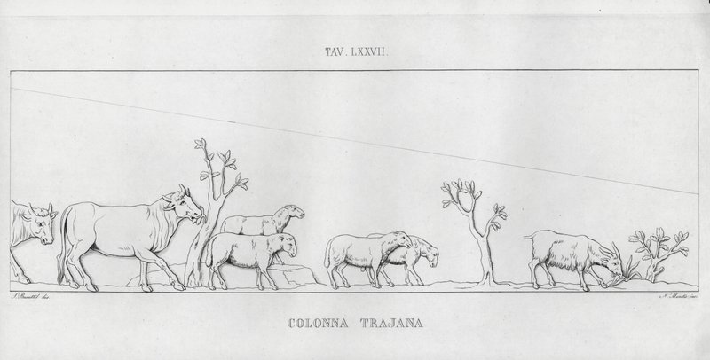 Trajans søyle, Trajans søyle (gravering) av Italian School