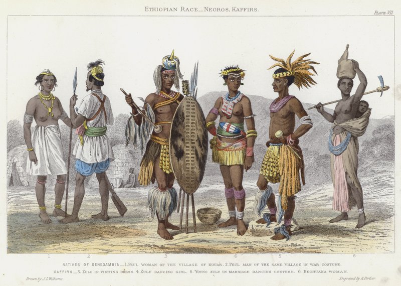 Etiopisk rase, Negros, Kaffirs (farget gravering) av J.L. (after) Williams