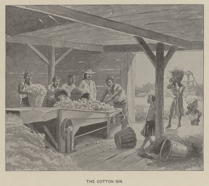 Bomullsginen (litho) av J. (after) Steeple Davis