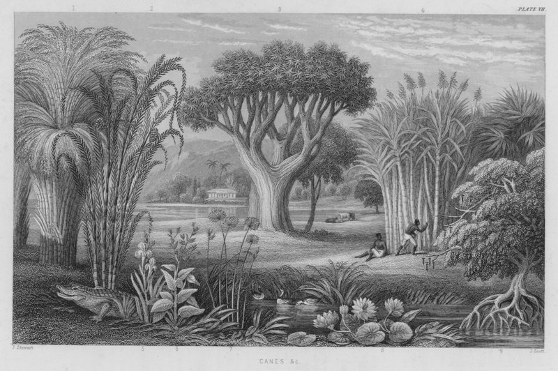 Stokker etc (farget gravering) av J. (after) Stewart