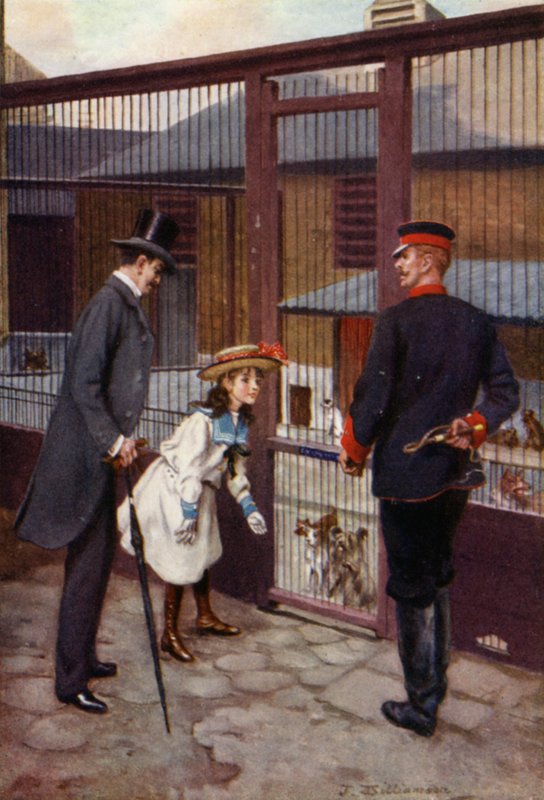 Ethel finner Scamp (farge litho) av J. Williamson