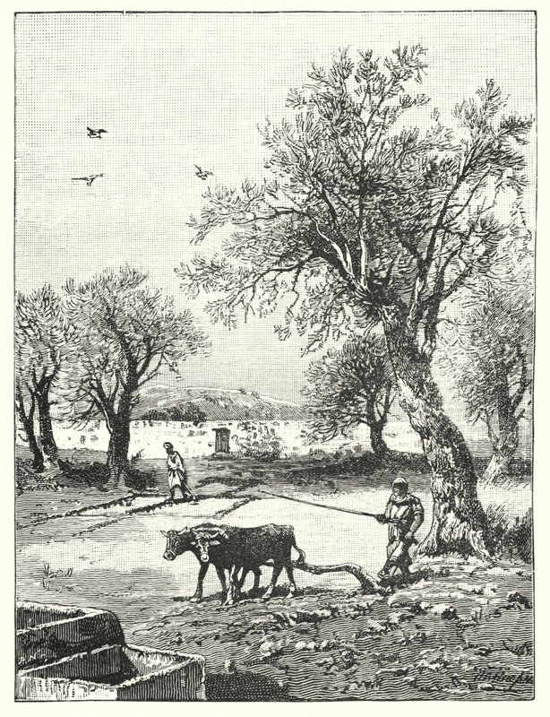 Pløying i en vingård (litho) av James (after) Clark