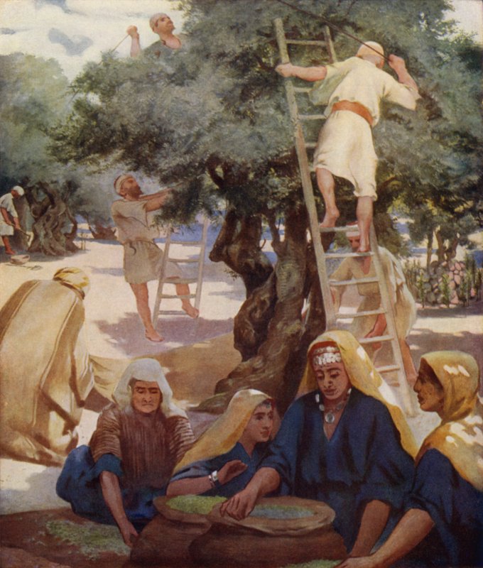 Olivengård av James Clark