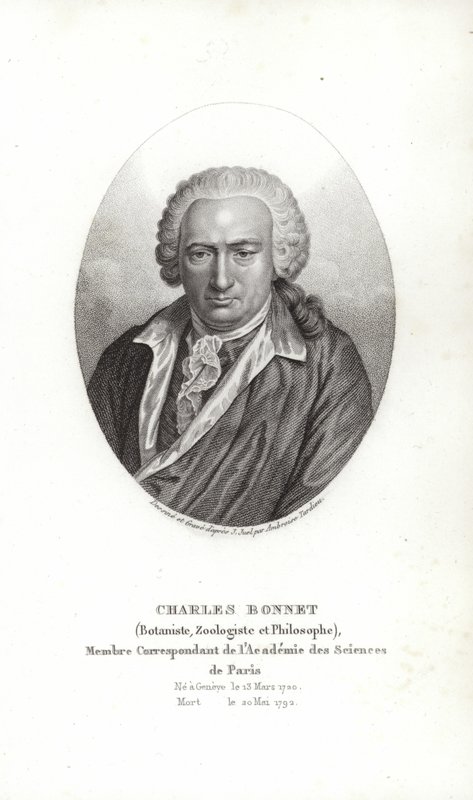 Charles Bonnet av Jens Juel