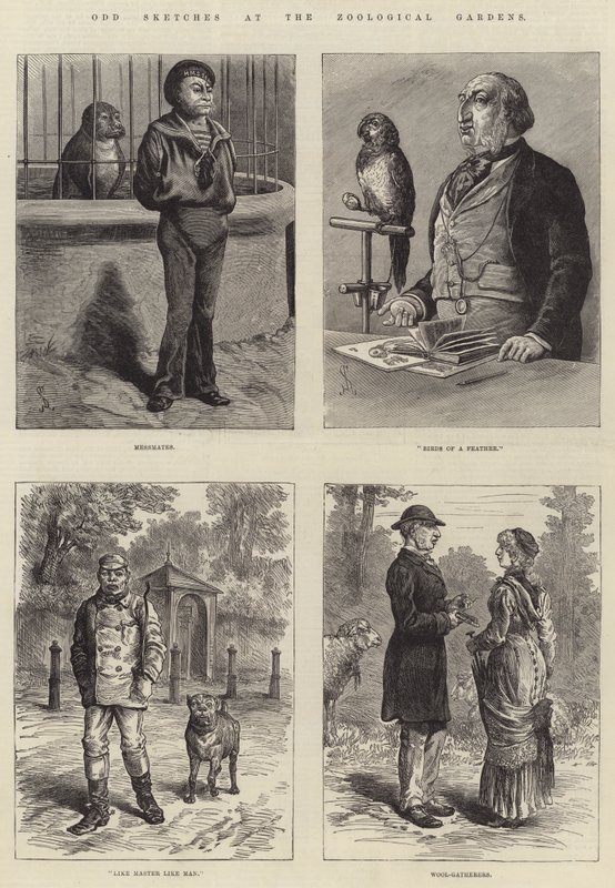Odd Skisser ved Zoologisk hage av Johann Nepomuk Schonberg