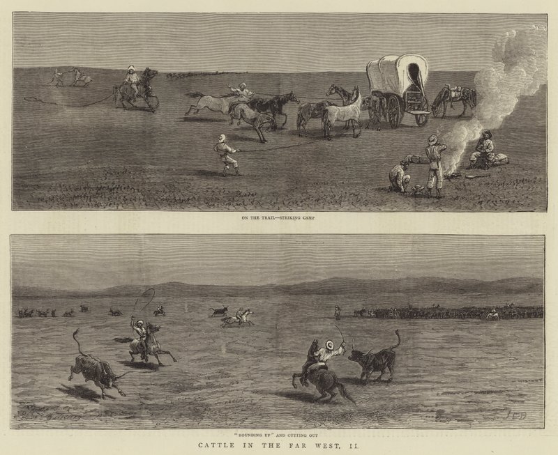 Storfe i det fjerne vesten, II av John Charles Dollman