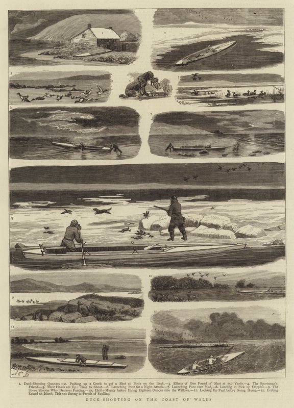 Andeskyting på kysten av Wales av John Charles Dollman