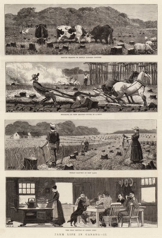Gårdsliv i Canada, II av John Charles Dollman