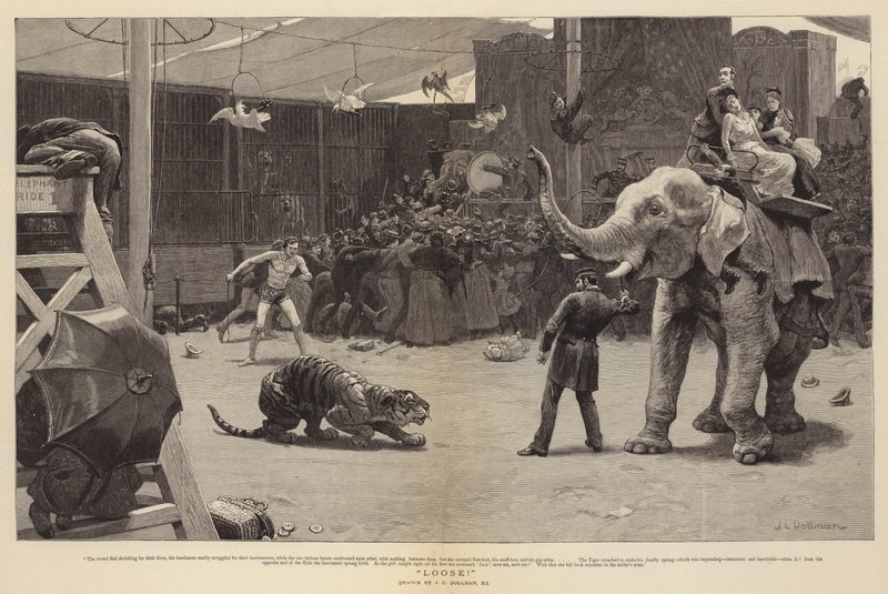 Løs! av John Charles Dollman
