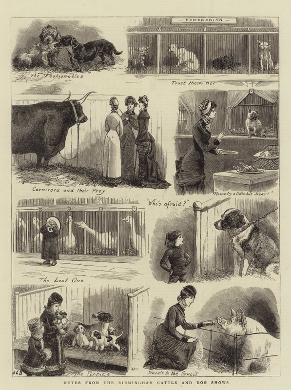 Notater fra Birmingham Cattle and Dog Shows av John Charles Dollman