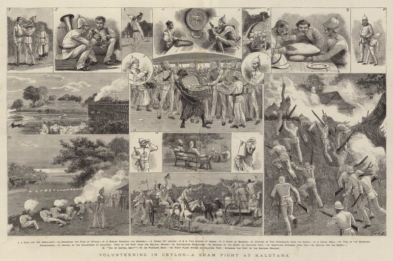 Frivillig arbeid i Ceylon, en falsk kamp ved Kalutara av John Charles Dollman