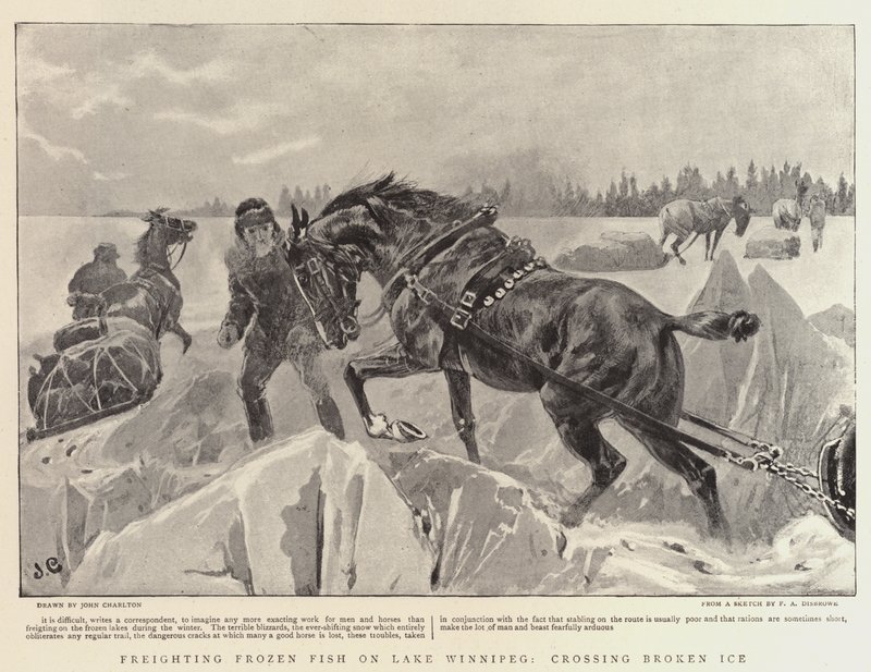 Frakt av frossen fisk på Lake Winnipeg, krysser Broken Ice av John Charlton