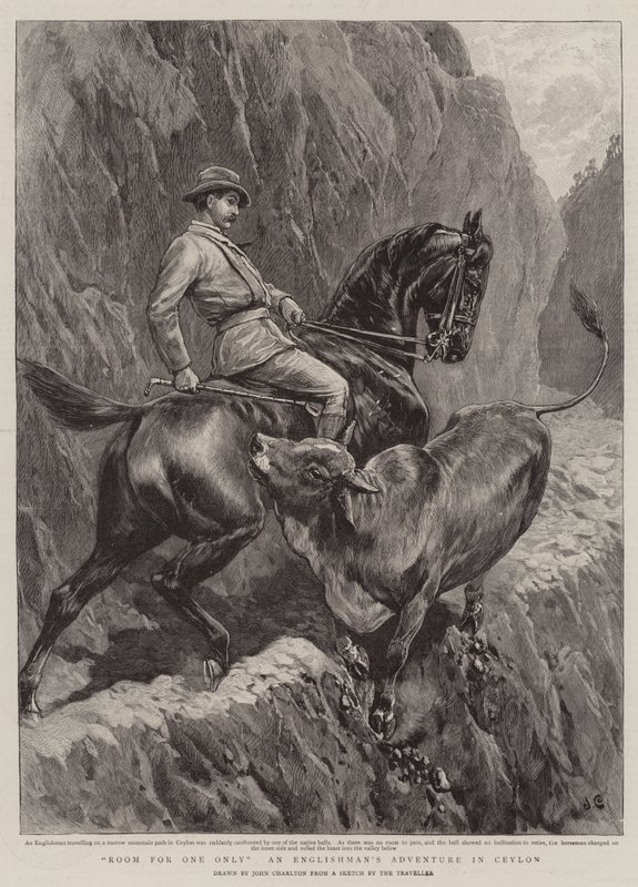 Plass for en bare en engelskmannseventyr på Ceylon av John Charlton