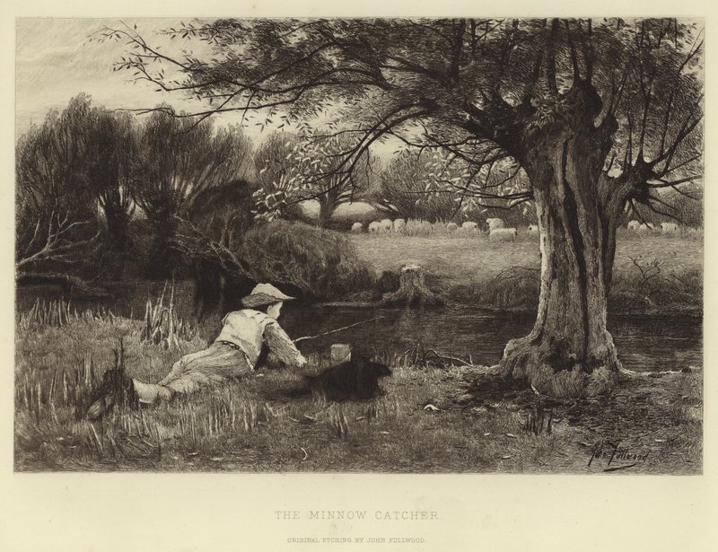Minnow Catcher av John Fullwood