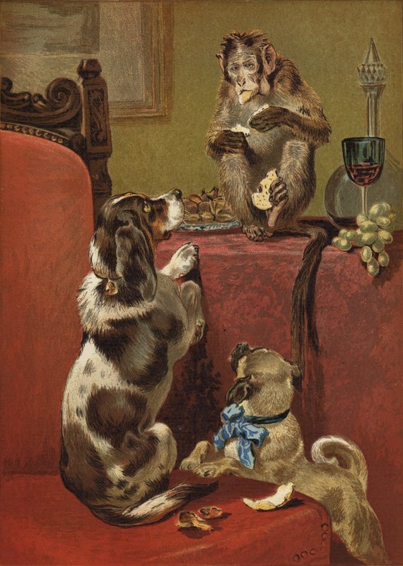 Den grådige apen av John Charles Dollman