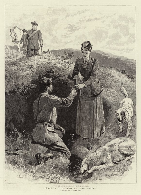 Rypeskyting på maurerne av John Charlton