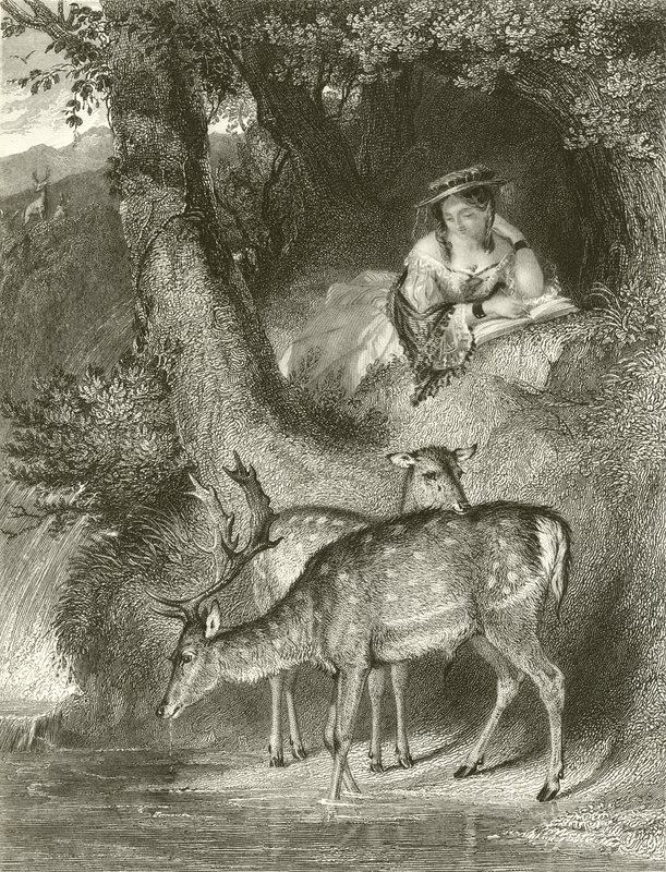 Fjell ensomhet av John Corbould