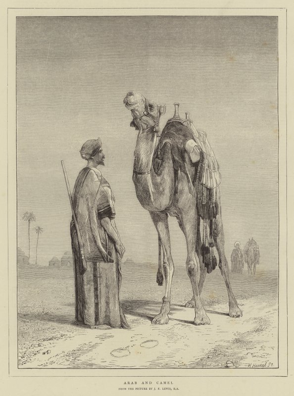 Arab og Camel av John Frederick Lewis