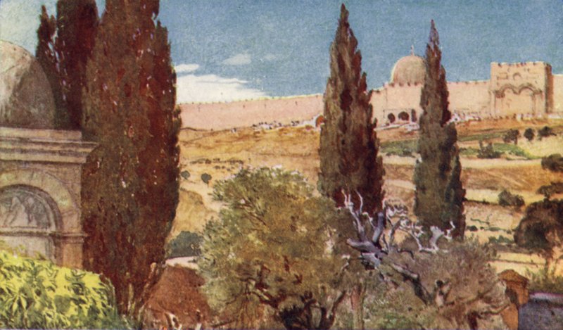 Sypressene i Getsemane-hagen av John Fulleylove