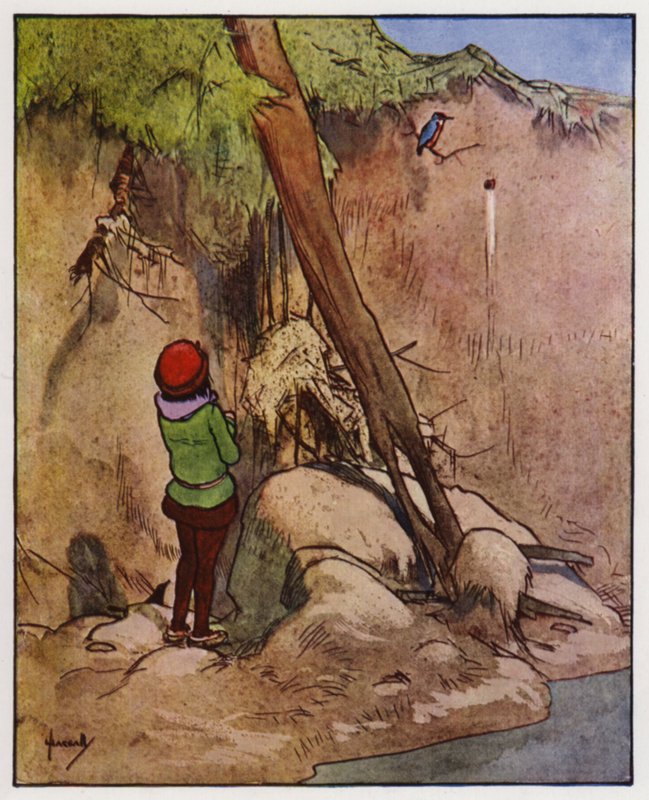 Isfuglen (farge litho) av John Hassall