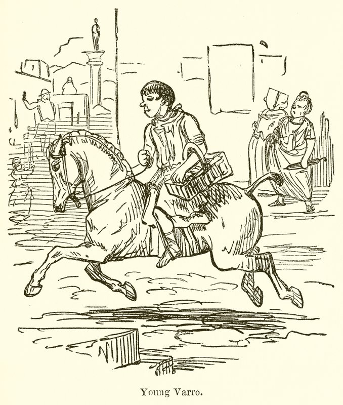 Unge Varro av John Leech
