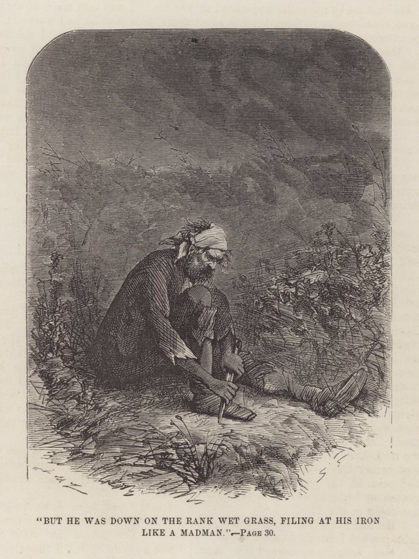 Illustrasjon for store forventninger av John McLenan