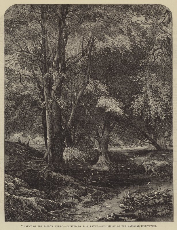 Tilholdssted for dåhjorten av John Samuel Raven
