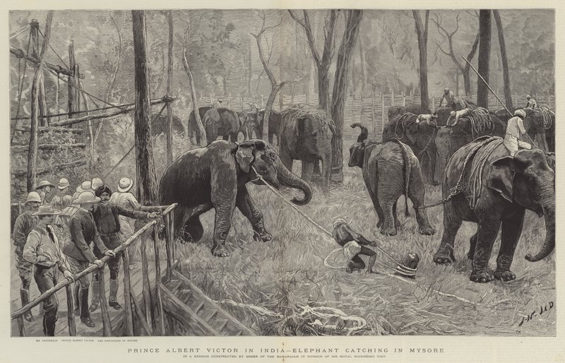 Prins Albert Victor i India av Joseph Nash