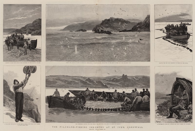 Pilchard-fiskeindustrien i St Ives, Cornwall av Joseph Nash