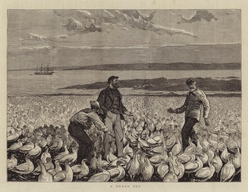 En Guano seng av Joseph Nash