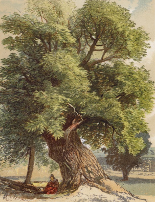 av Joseph Needham