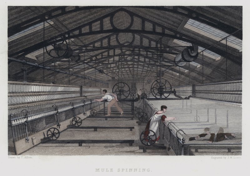Muldyr som spinner av Joseph Wilson Lowry