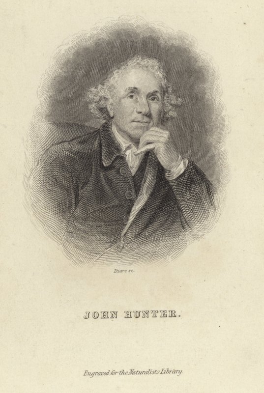 John Hunter av Joshua Reynolds
