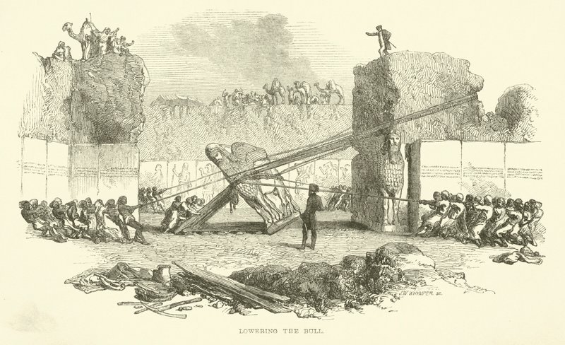 Senker oksen av Josiah Wood Whymper