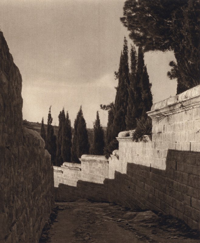 Jerusalem, Getsemane hage (s/hvitt bilde) av Karl Grober