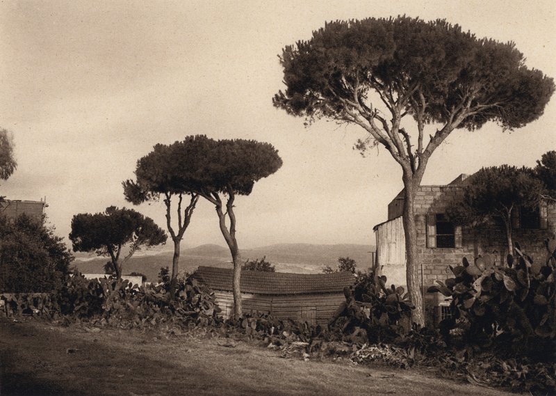 Libanon, landskap (s/hvitt bilde) av Karl Grober