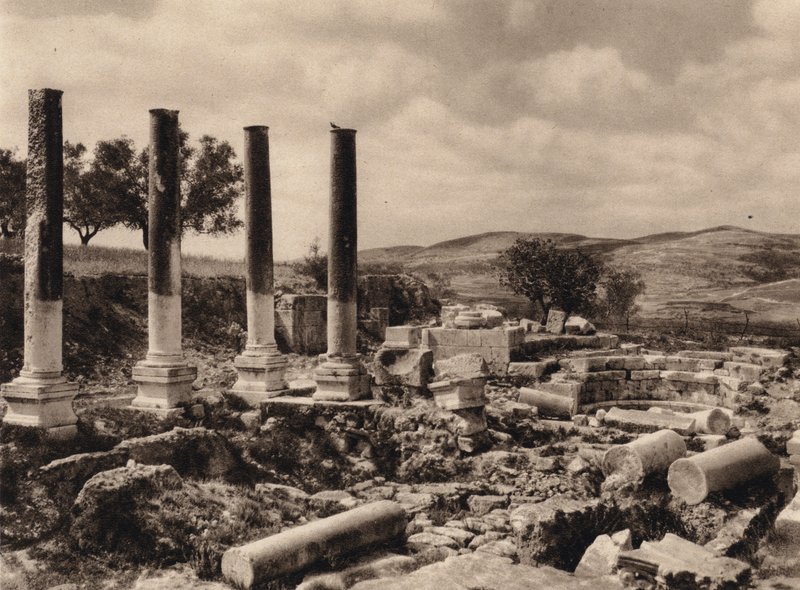 Samaria, ruinene av Herodes palass (s/hvitt bilde) av Karl Grober
