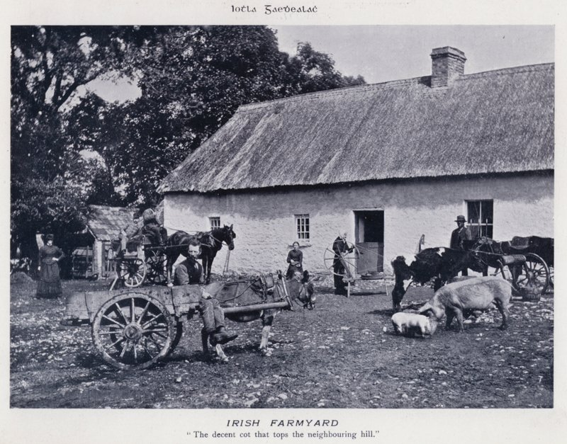 Irish Farmyard (s/hvitt bilde) av Karl Karlovich Piratsky