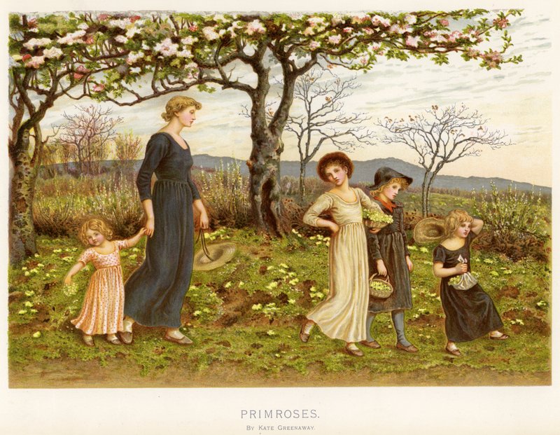 Primroser (chromolitho) av Kate Greenaway