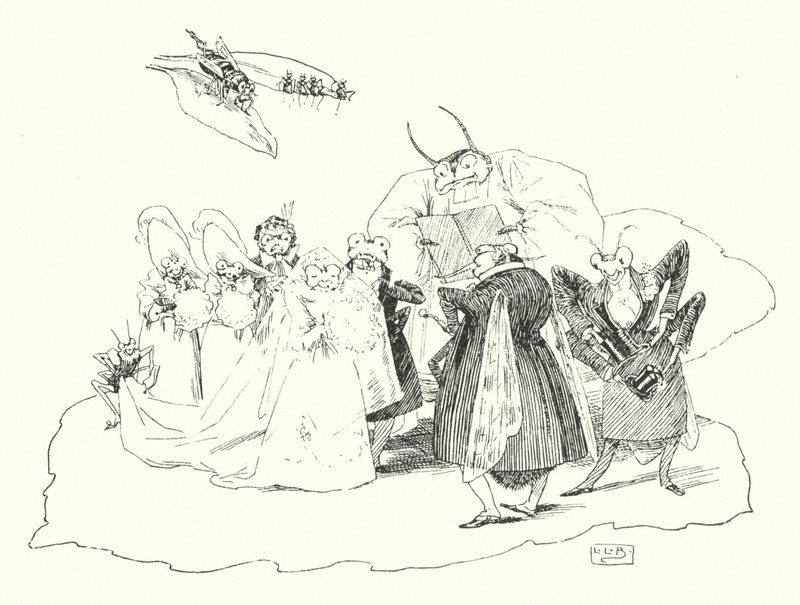 Fiddle-de-dee, fiddle-de-dee (gravering) av Leonard Leslie Brooke