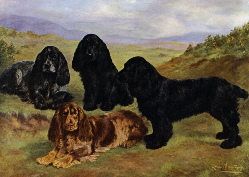 Cocker spaniels av Lilian Cheviot