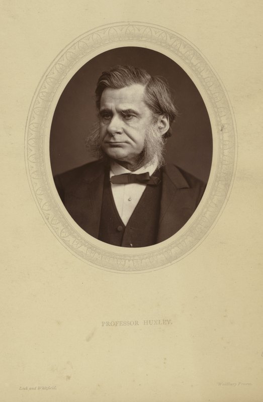 Portrett av Thomas Henry Huxley av Lock and Whitfield