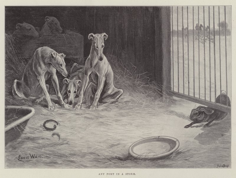 Enhver havn i en storm av Louis Wain