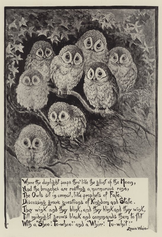 Louis Wains ugler av Louis Wain