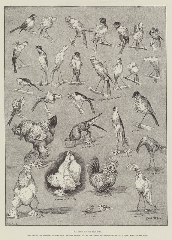 Naturens passende øyeblikk av Louis Wain