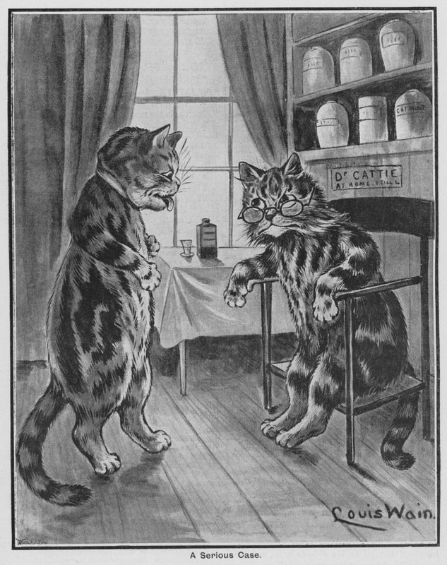 En alvorlig sak (gravering) av Louis Wain